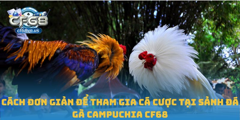 Đá Gà Campuchia – Trải Nghiệm Hồi Hộp Chiến Đấu Tại CF68 2 Cách đơn giản để tham gia cá cược tại sảnh đá gà Campuchia CF68