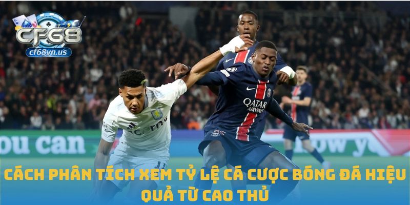 Xem Tỷ Lệ Cá Cược Bóng Đá Chuẩn Xác Để Đặt Cược Hiệu Quả 2 Cách phân tích xem tỷ lệ cá cược bóng đá hiệu quả từ cao thủ