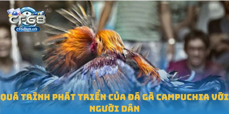 Đá Gà Campuchia – Trải Nghiệm Hồi Hộp Chiến Đấu Tại CF68 1 Quá trình phát triển của đá gà Campuchia với người dân