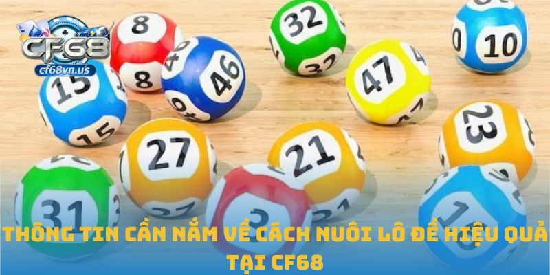 Kinh Nghiệm Nuôi Lô Đề Bền Vững Và Hiệu Quả Tại CF68 1 Thông tin cần nắm về cách nuôi lô đề hiệu quả tại CF68