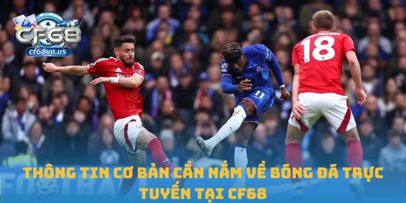 Thông tin cơ bản cần nắm về bóng đá trực tuyến tại CF68