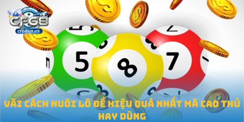 Kinh Nghiệm Nuôi Lô Đề Bền Vững Và Hiệu Quả Tại CF68 2 Vài cách nuôi lô đề hiệu quả nhất mà cao thủ hay dùng
