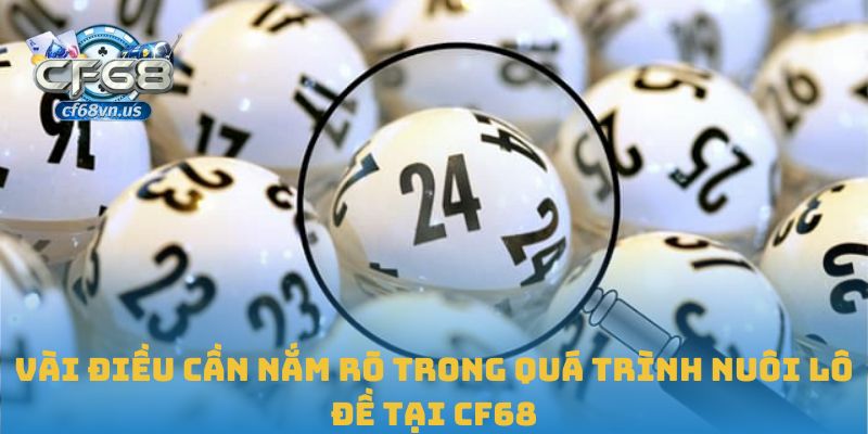 Kinh Nghiệm Nuôi Lô Đề Bền Vững Và Hiệu Quả Tại CF68 3 Vài điều cần nắm rõ trong quá trình nuôi lô đề tại CF68