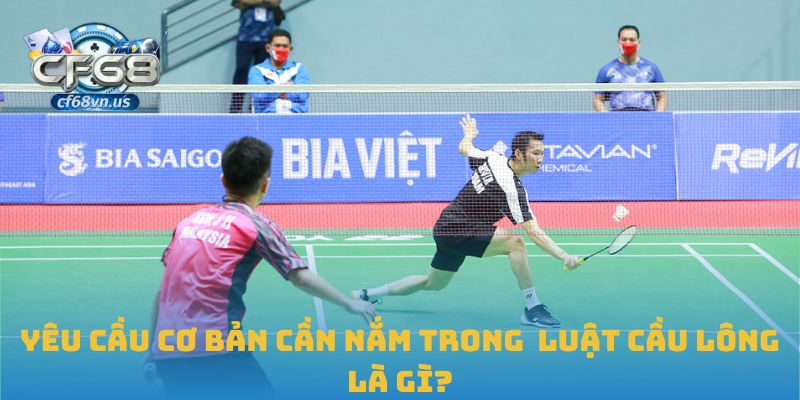 Luật Cầu Lông Và Các Quy Định Cần Ghi Nhớ Trong Thi Đấu 1 Yêu cầu cơ bản cần nắm trong luật cầu lông là gì?